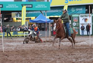 Cavalo supera motocicleta em prova tradicional de destreza e agilidade