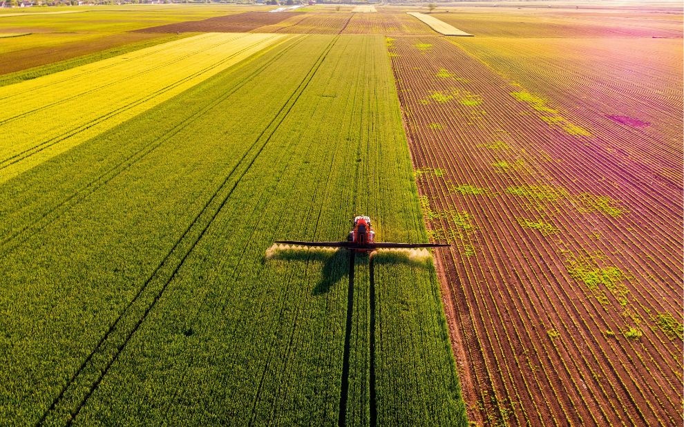 Especialistas discutem avaliação, controle e mitigação do risco no agronegócio