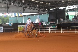 Festa do Peão de Barretos anuncia Breakaway Roping pela primeira vez no evento