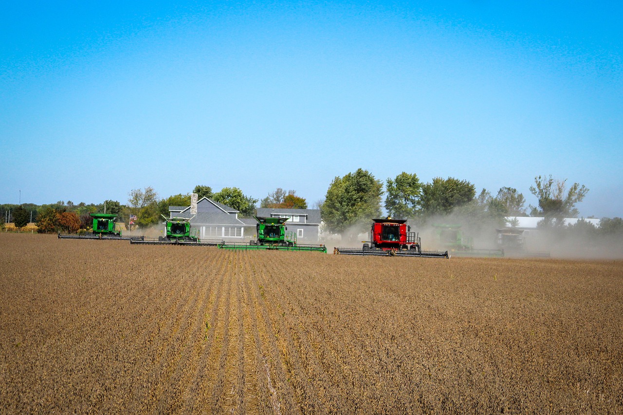 Força do agro: Tocantins e Goiás têm maior potencial de mercado do Brasil