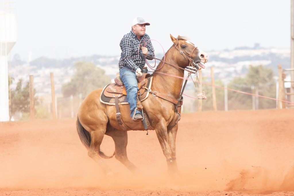 Hunter Star vem se consolidando como reprodutor promissor