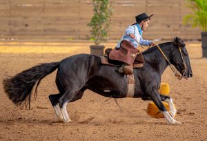 Jovens ginetes mostram habilidades na pista do Cavalo Crioulo na Expointer