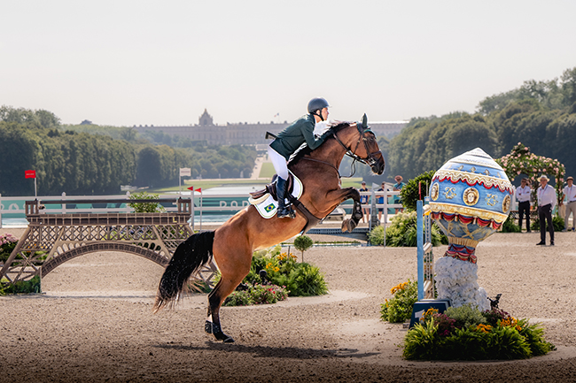 Primavera, égua Brasileira de Hipismo: campeã do GP no Indoor 2021, ouro no Pan 2023, top 5 em Paris 2024 com Stephan Barcha