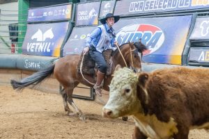 Prova que apontará futuros ginetes do Cavalo Crioulo acontecerá na 47ª Expointer