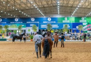 Raça Crioula inicia Expointer definindo campeões da Morfologia