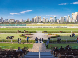 TJSP suspende lei que proíbe corridas de cavalos no Jockey Clube da capital