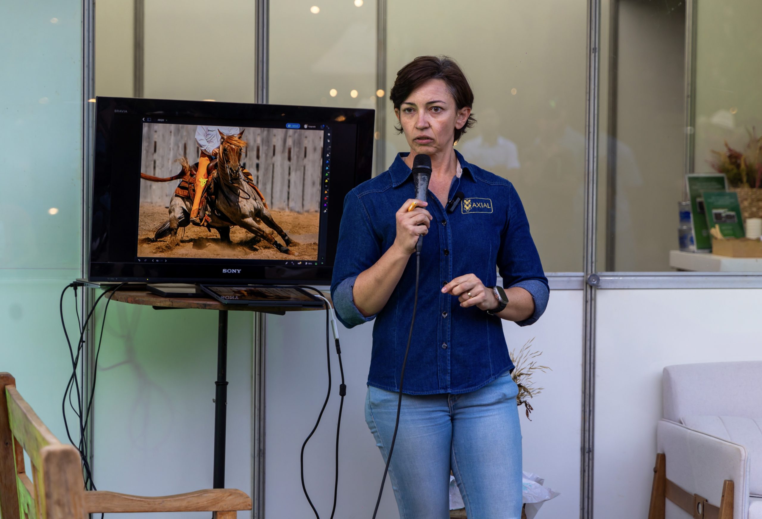 ‘Coluna Vertebral Equina’ foi tema de bate-papo com a especialista Dra. Brunna Fonseca