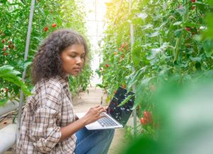 Agro Jovem: Secretaria de Agricultura SP prevê programa para incentivar jovens no agro