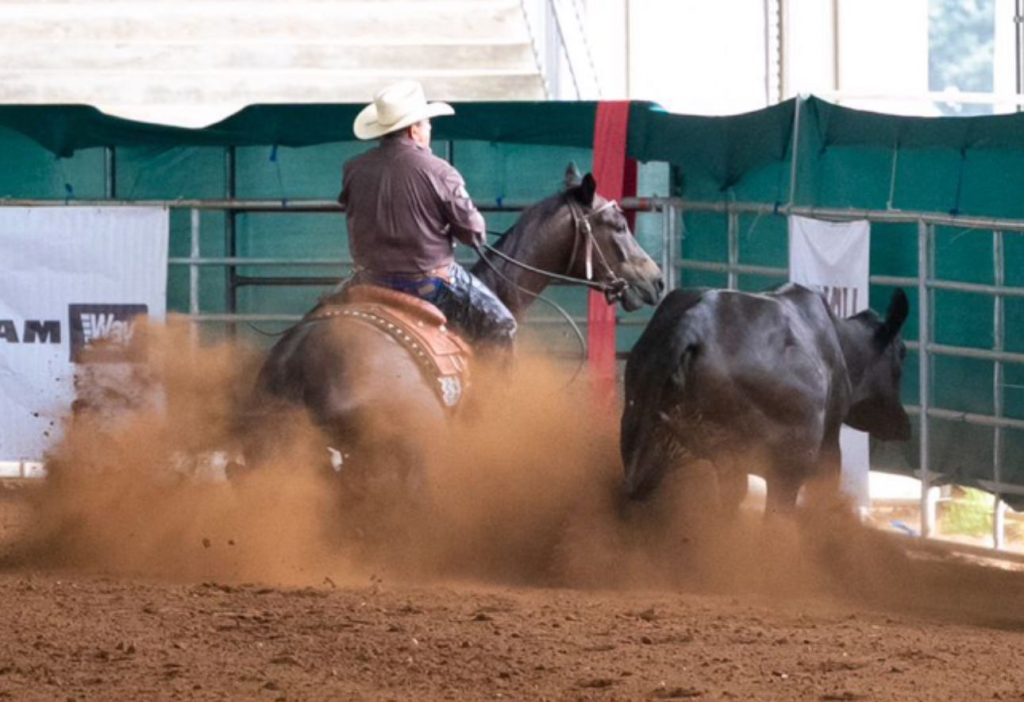 Big Projeto conquista dupla vitória no Campeonato Nacional & Potro do Futuro 2024 de Working Cow Horse