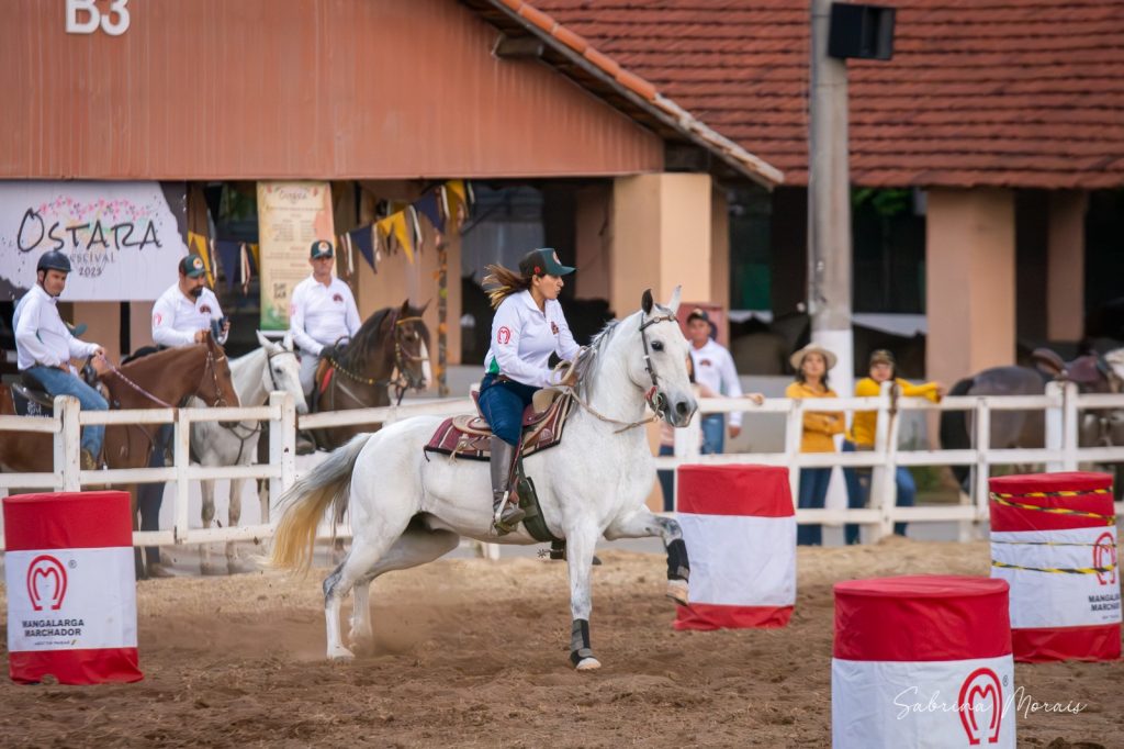 Campeonato Brasileiro de Provas Esportivas e Sociais do Mangalarga Marchador começa na quinta-feira (19)