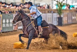 Cavalo Crioulo ultrapassa os R$ 16 milhões em vendas na Expointer com direito a um recorde