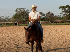 Cavalo que trotina: saiba o que é