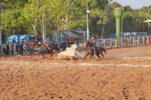 I Semana do Cavalo em Gurupi atrai mais de 16 mil pessoas e tem balanço positivo