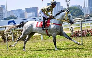 Ômega Rach vence o Prêmio UAE Presidents Cup no Jockey Club de São Paulo