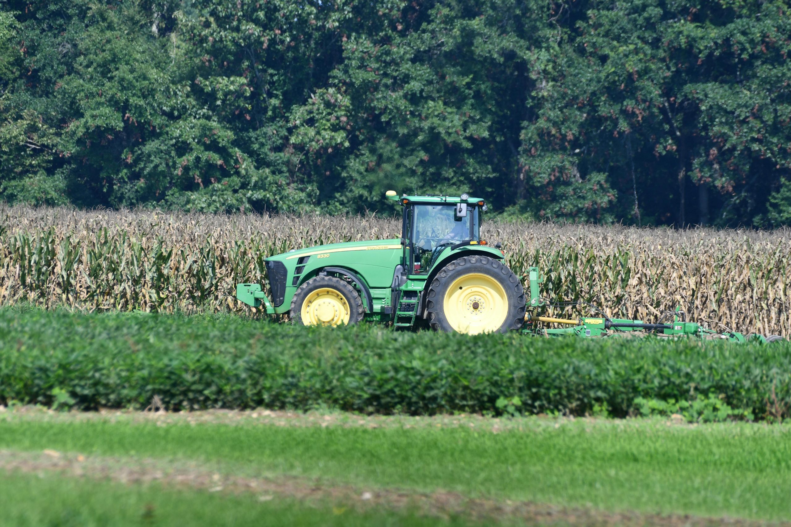 Pesquisa revela principais tendências do agronegócio brasileiro