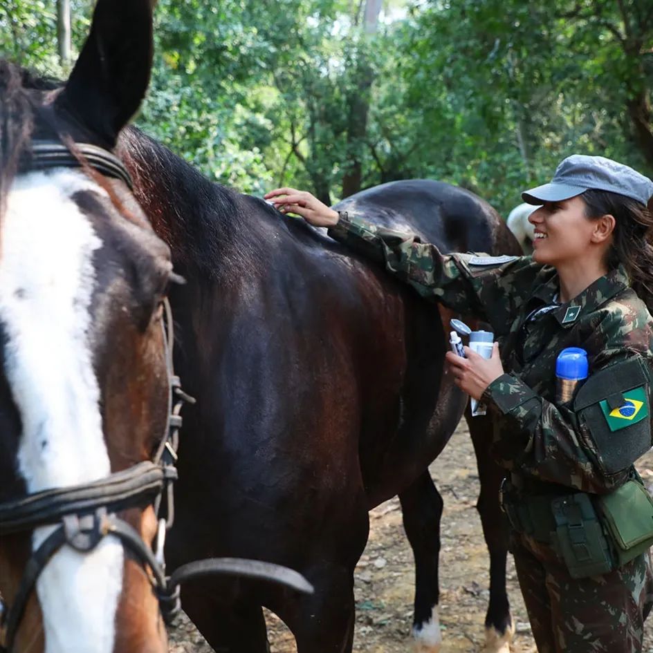 Pra quê servem, afinal, os cavalos do Exército Brasileiro Emprego Militar de Equídeos é realidade no século XXI