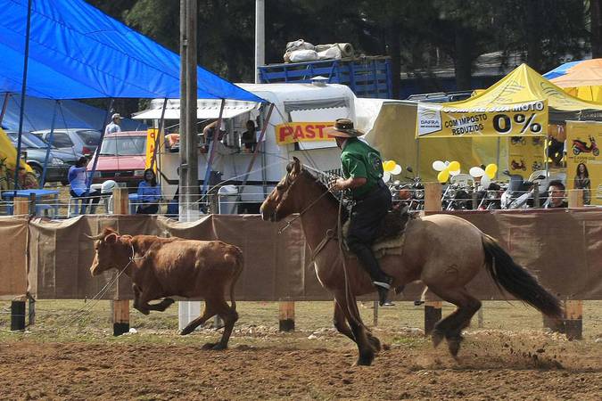 Senado aprova Rodeio Crioulo como cultura popular