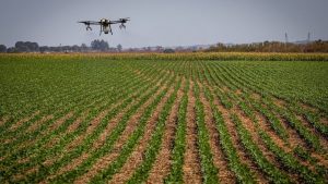 Tecnologia e sustentabilidade ampliam a força do agronegócio no Brasil