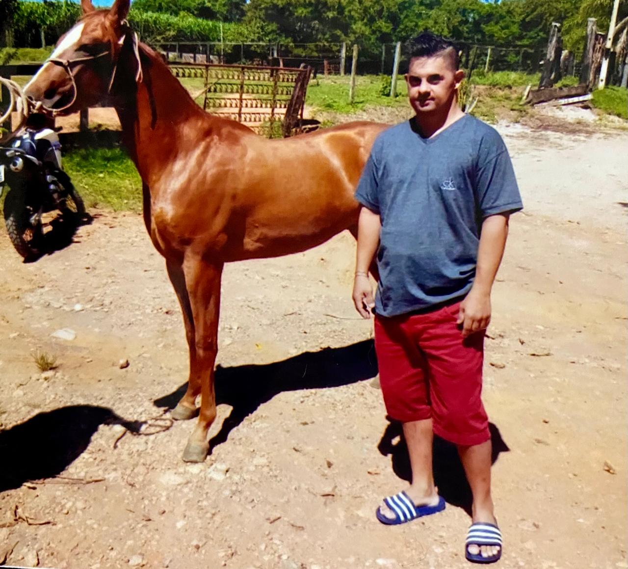 Uma história de amor e superação: como a relação com os cavalos transforma a vida das pessoas