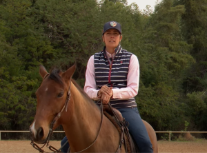 ‘Exercício do quadrado’ permite treinar quase tudo com o seu cavalo