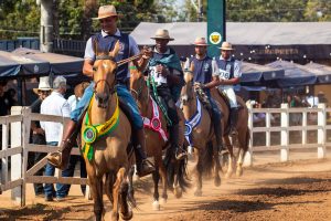 44ª Exposição Nacional do Cavalo Campolina acontece neste mês no Parque da Gameleira