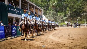 46ª Exposição Nacional do Cavalo Mangalarga atraiu criadores de todo o Brasil