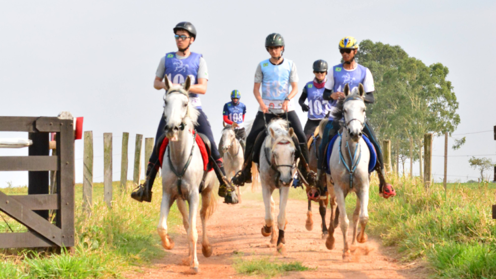 Agenda da semana tem como destaque o Campeonato Paulista de Enduro Equestre