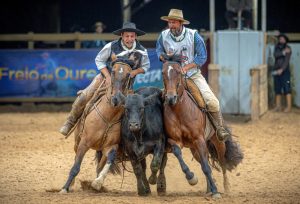 Conhecidos os campeões das Forças A e B da Final Nacional de Paleteadas 2024