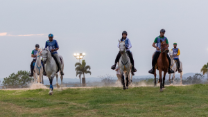 Copa Nacional de Enduro do Cavalo Árabe atrai atletas de vários países