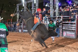 PBR realiza leilão de touros de pulo durante a ExpoGenética em Campo Grande