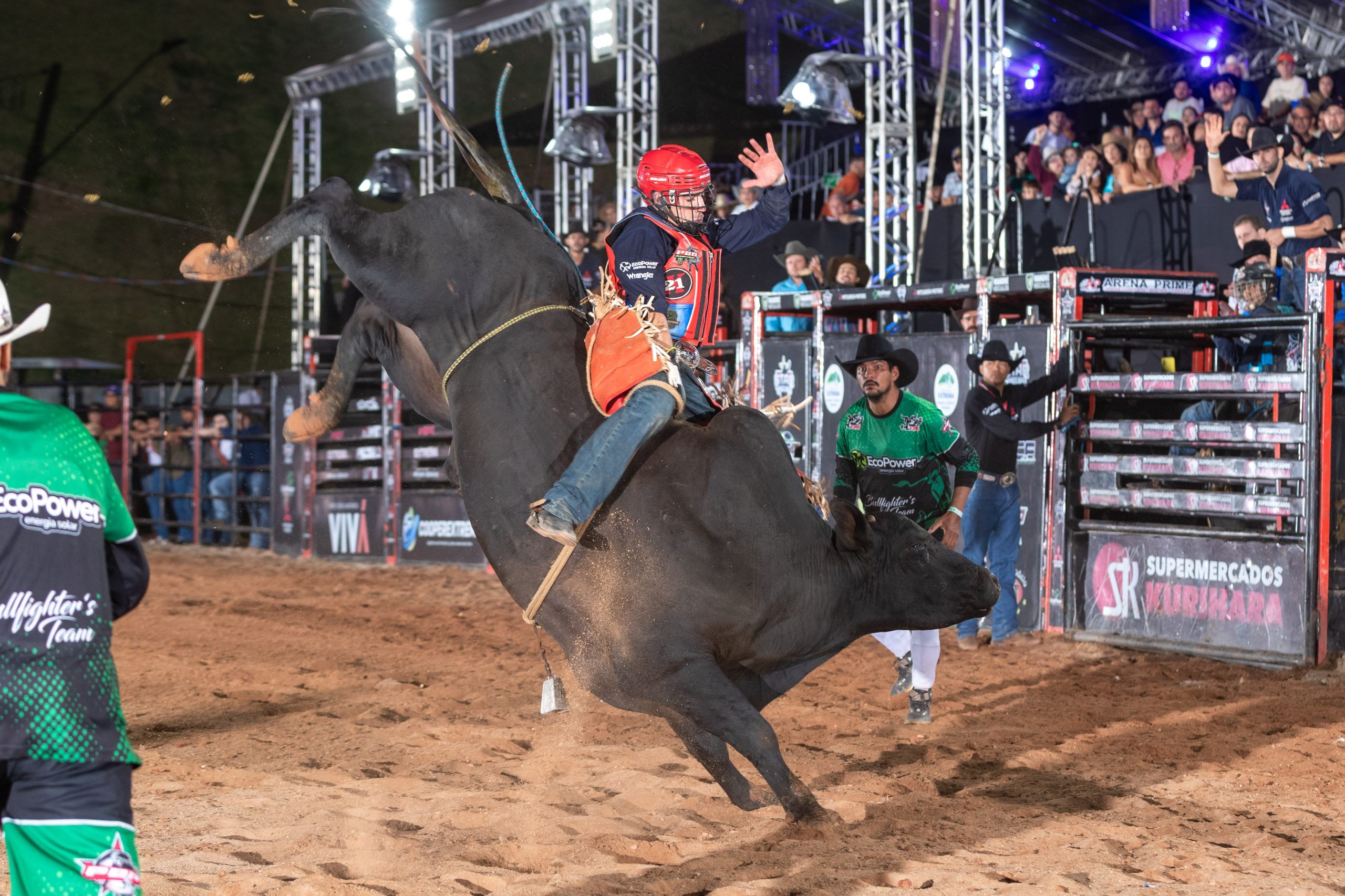 PBR realiza leilão de touros de pulo durante a Expogenética em Campo Grande