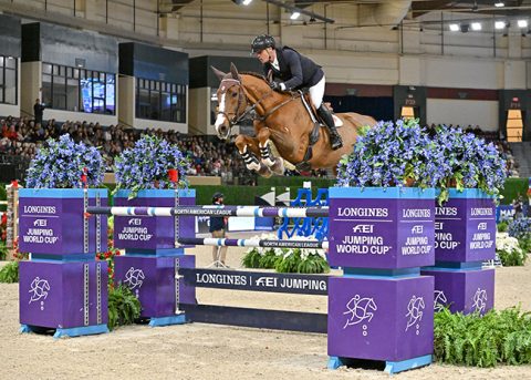 Rodrigo Pessoa e Major Tom faturam GP5*, a 1.60m, nos EUA