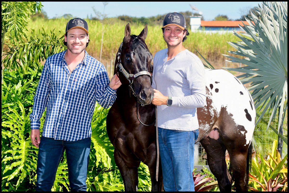 Thiago Ramos, do Haras Criola, fala sobre a paixão pela Conformação e pelo mundo dos cavalos