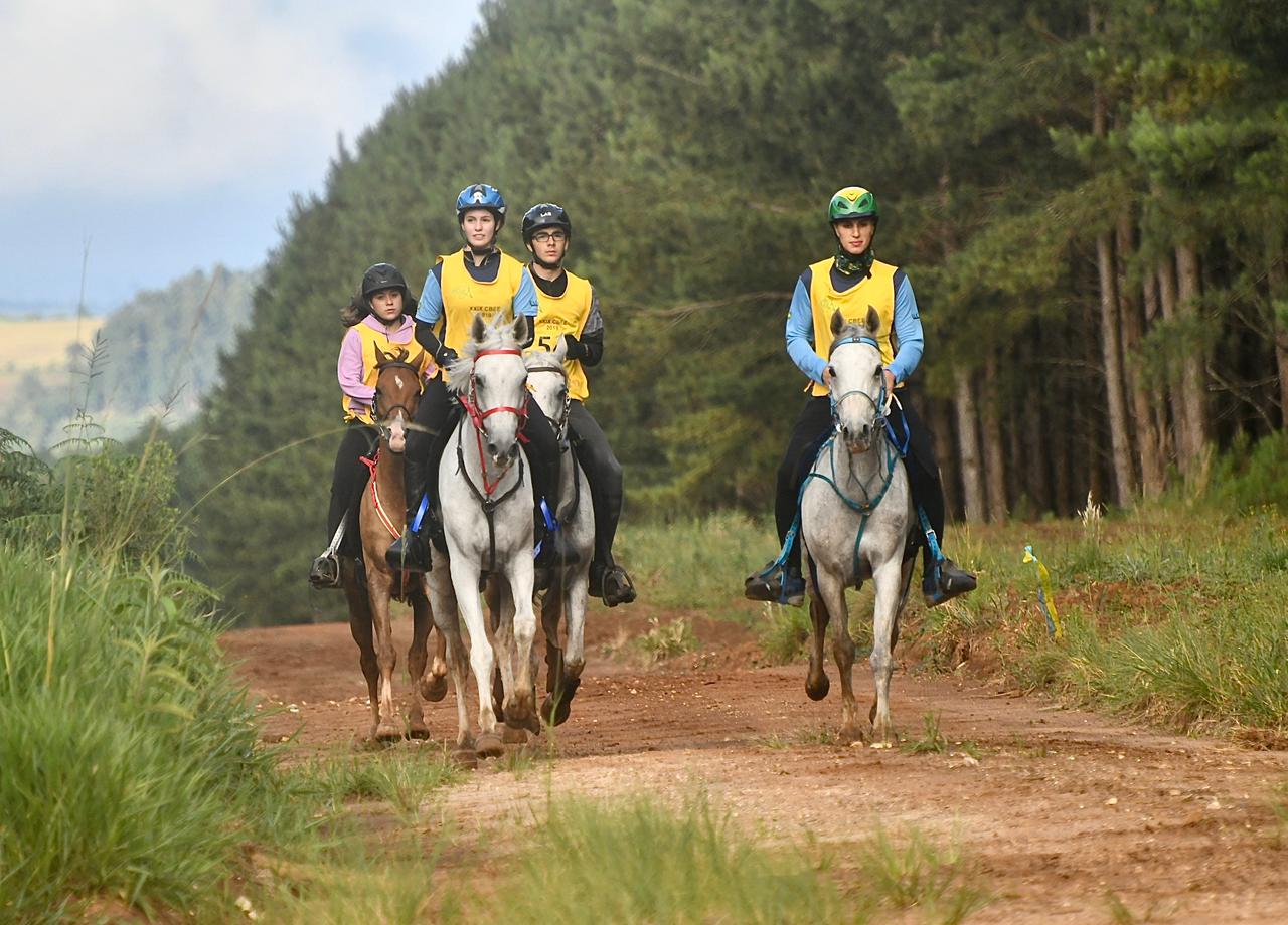 3ª Etapa do Campeonato Paranaense de Enduro é marcada pela alta performance de cavalos Árabes