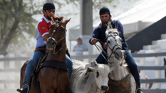 ABQM abre candidatura de Parques para a realização do Congresso Brasileiro, Derby e Copa dos Campeões de Vaquejada 2025