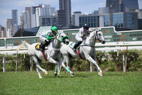 Allure BV conquista vitória emocionante no Prêmio IFAHR Cup Race 2024