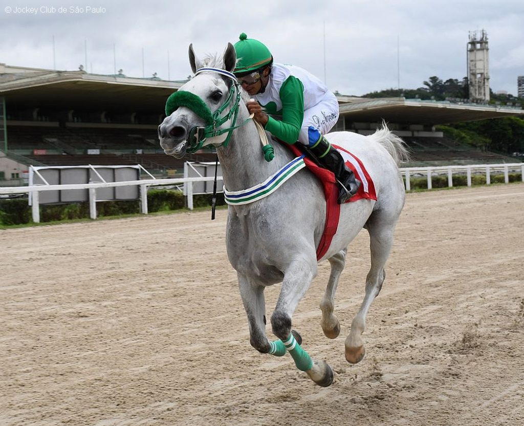 Allure BV conquista ‘vitória de ponta a ponta’ no Prêmio UAE President Cup For Colts & Fillies VII