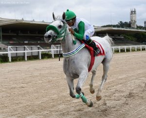 Allure BV conquista ‘vitória de ponta a ponta’ no Prêmio UAE President Cup For Colts & Fillies VII