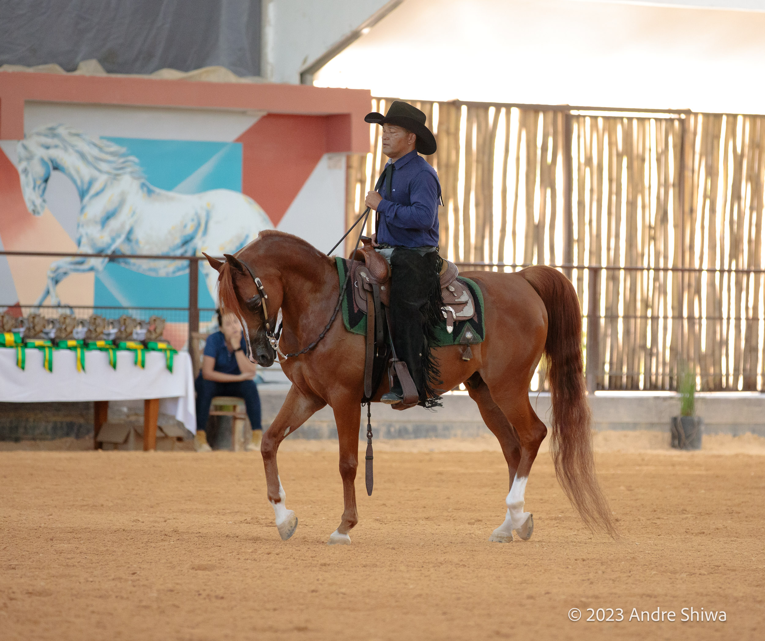 Copa Brasil do Cavalo Árabe é destaque na agenda da semana