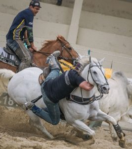 Dinastia Apollo Roxo alcança o título de melhor cavalo de puxar profissional do Campeonato Portal Vaquejada 2024