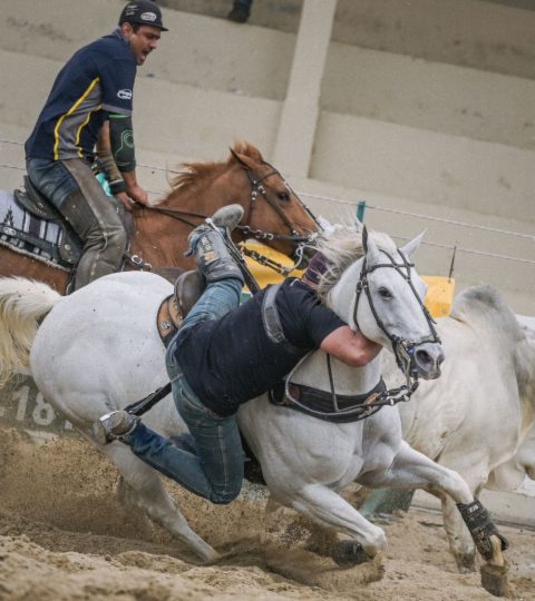 Projeto de lei fortalece vaquejada e competições equestres em Rio Branco, no Acre