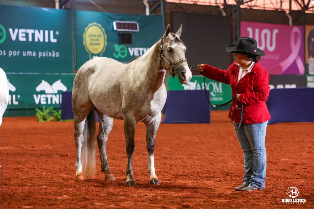 Estela Vieira Sanches: A nova estrela da Performance Halter e da Conformação