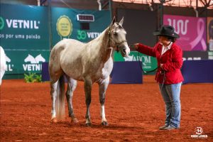 Estela Vieira Sanches: A nova estrela da Performance Halter e da Conformação