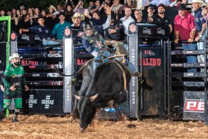 Etapa da PBR em Campo Grande teve a primeira vitória de jovem fenômeno da montaria em touros