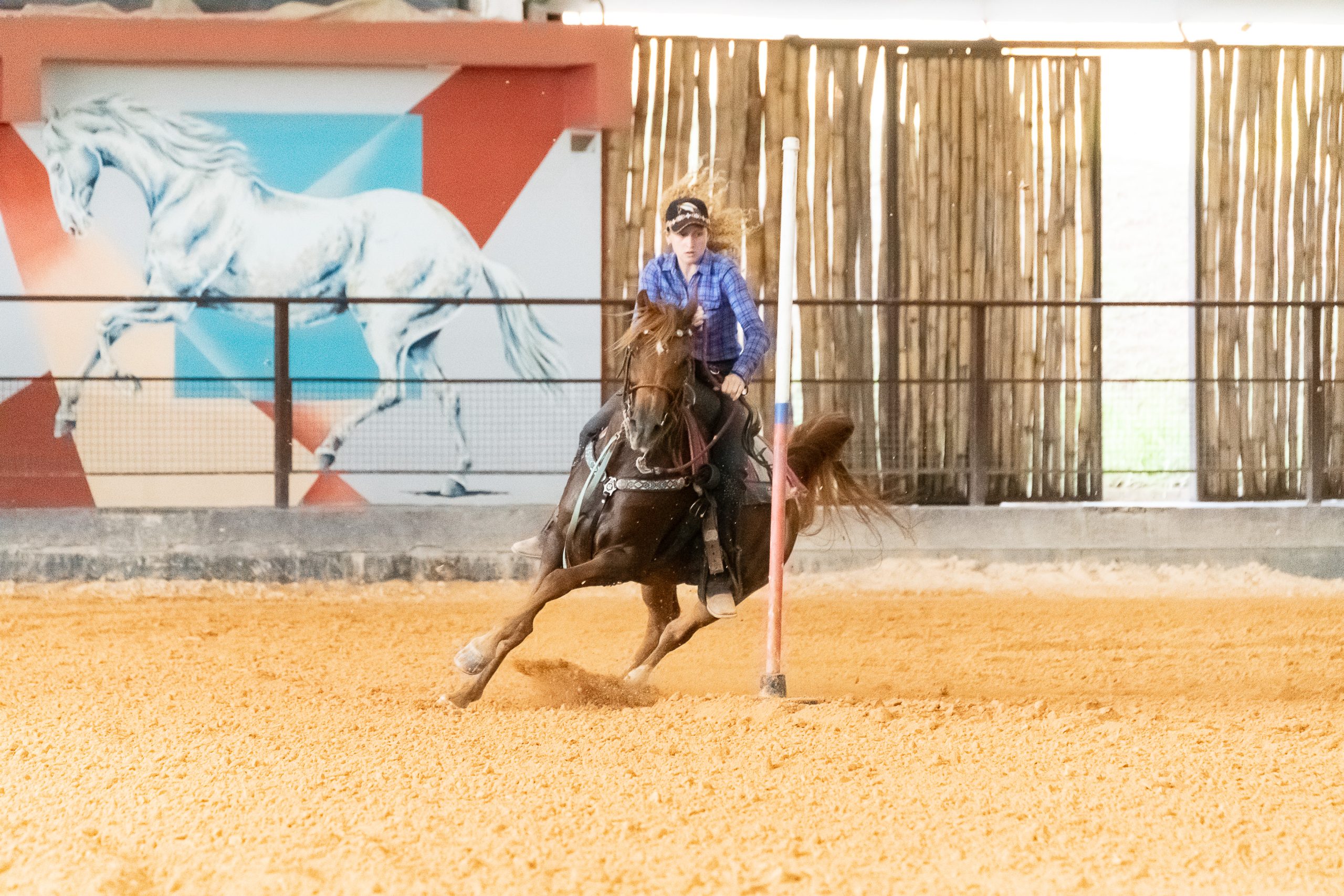 Exposição de Cavalos Árabes começa esta semana e movimenta a cidade de Tatuí (SP)