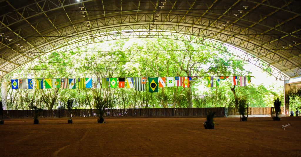 Exposição do Cavalo Árabe movimenta a cidade de Tatuí e reforça a funcionalidade da raça