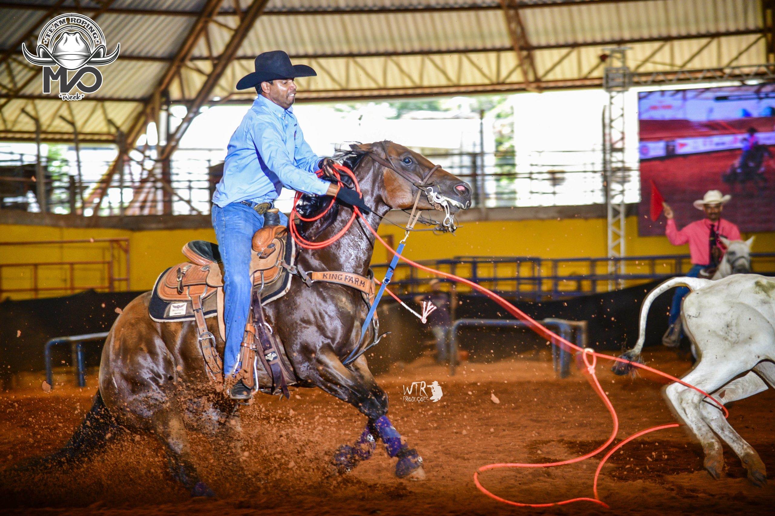 Após destaques nas competições de Laço Pé, RDC Dixie Dakkar inicia sua trajetória na reprodução