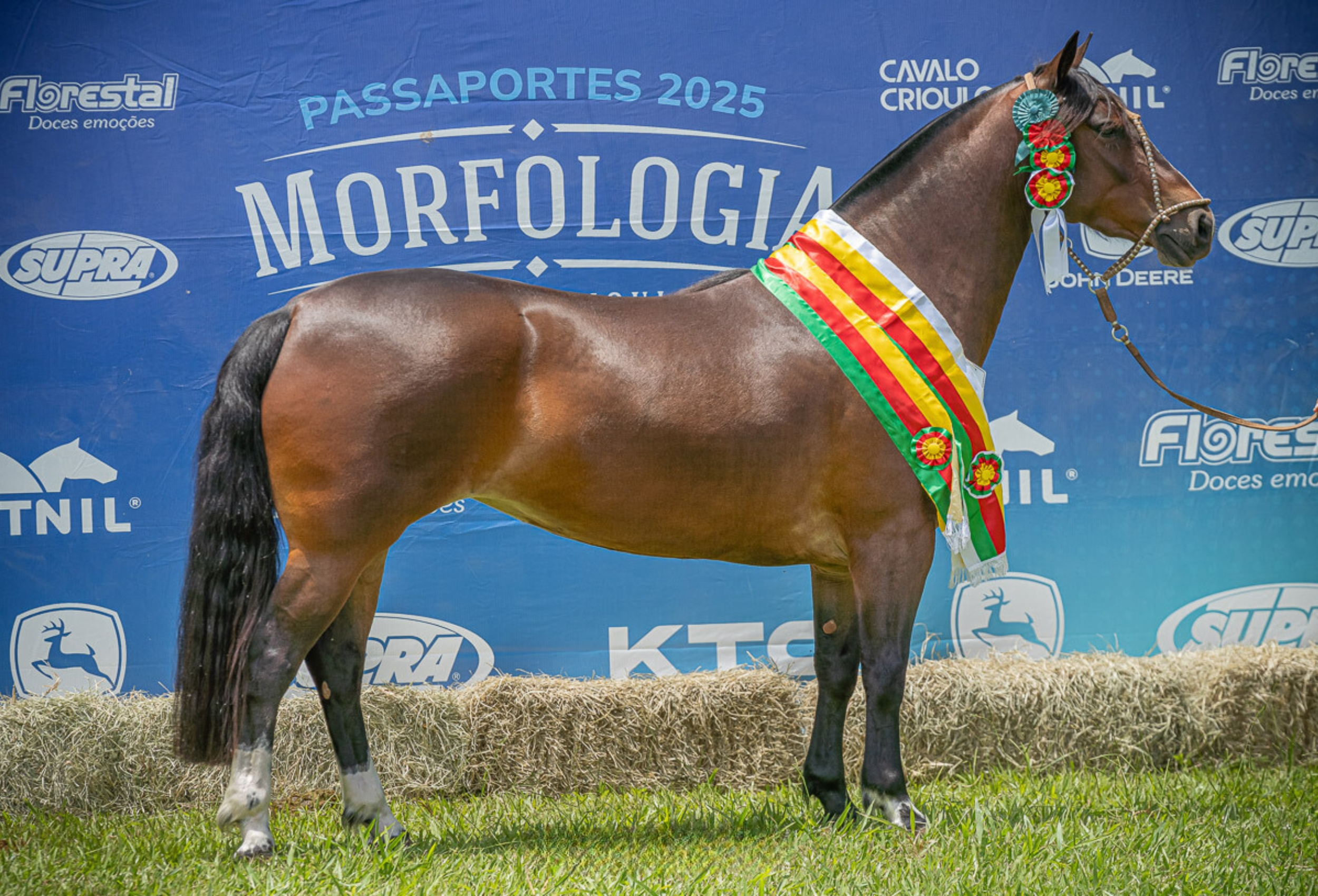 Brasília encerra as Exposições Passaportes de Primavera com bom nível em pista