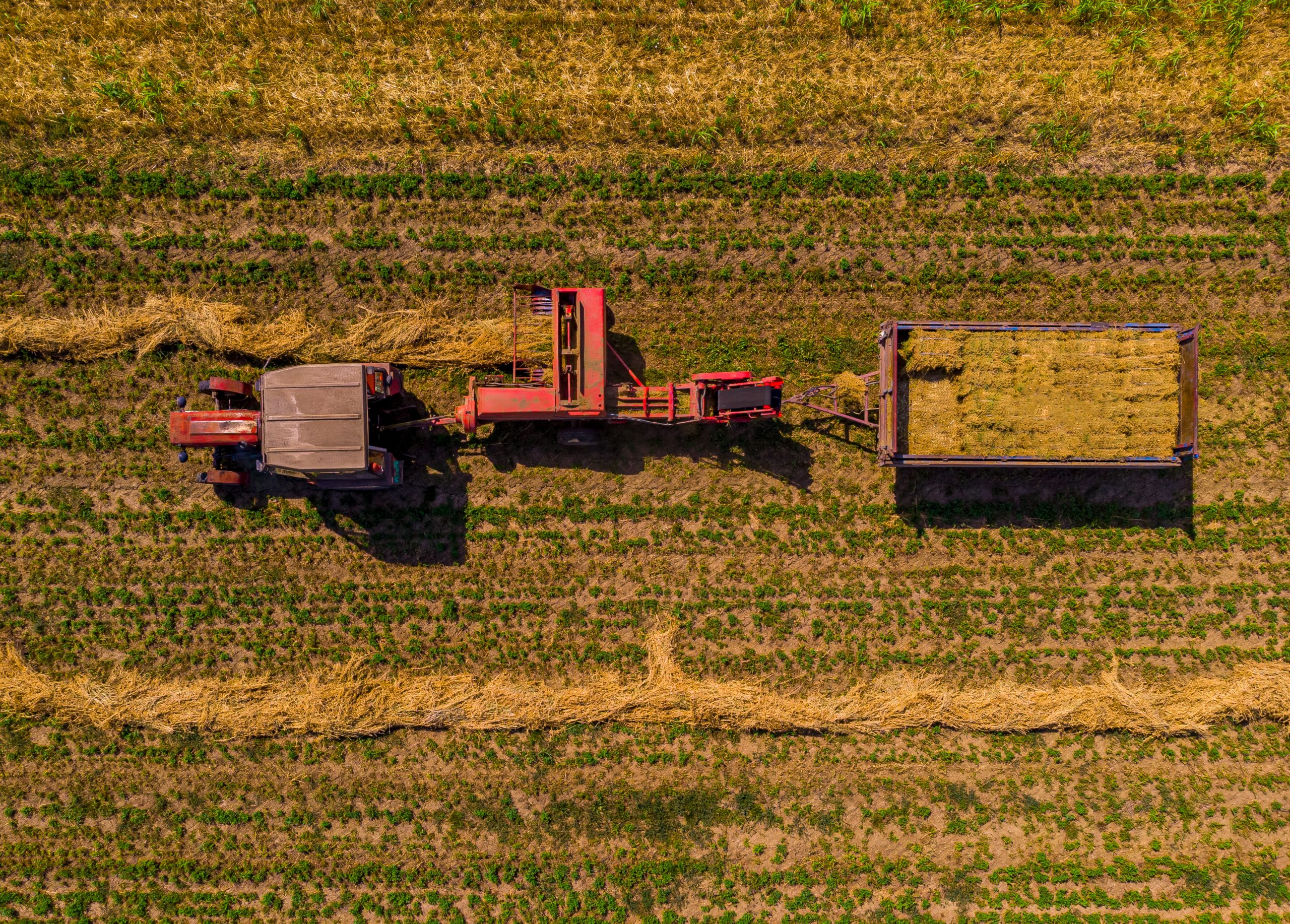 CNA prevê crescimento do PIB do agronegócio em 2025