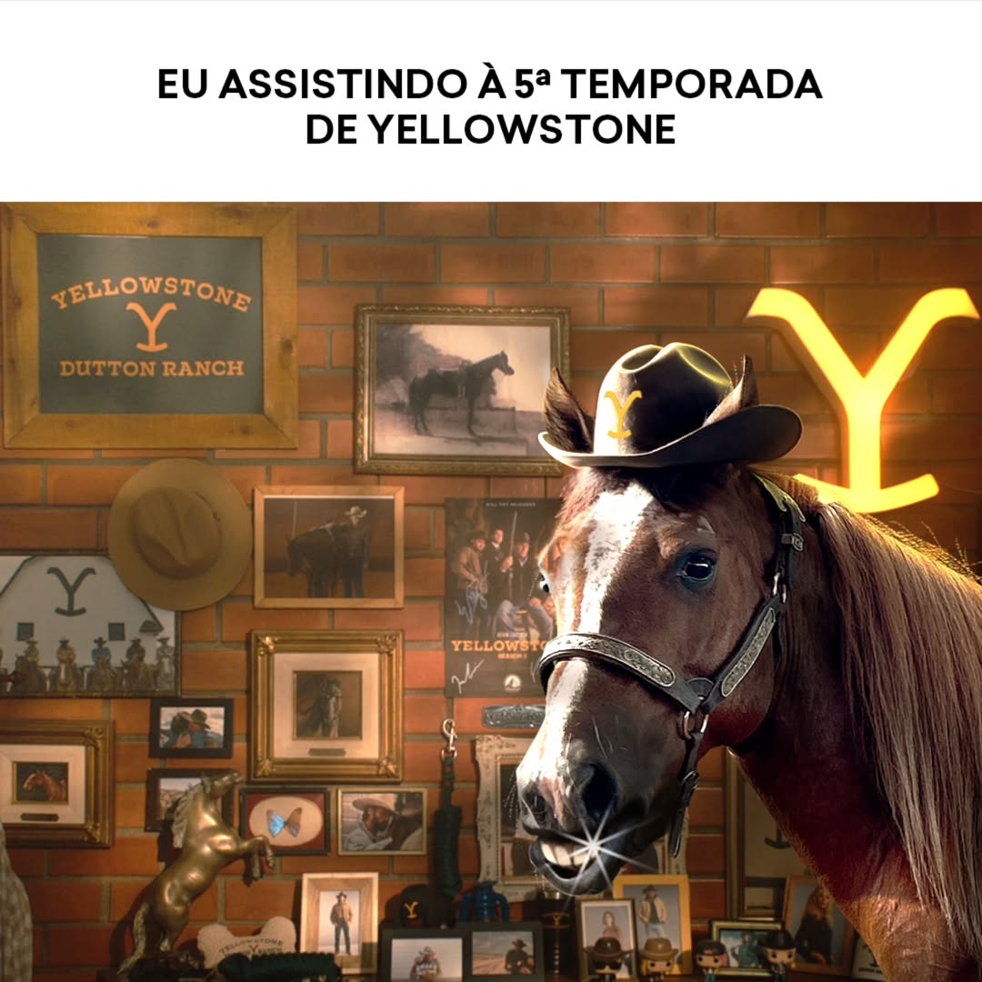 Cavalo Caramelo é astro de divulgação da sexta temporada de Yellowstone